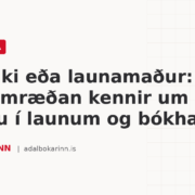 Verktaki eða launamaður: hvað Wolt umræðan kennir um áhættu í launum og bókhaldi