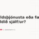 Bókhaldsþjónusta eða færa bókhaldið sjálf/ur?