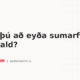 Ætlar þú að eyða sumarfríinu í bókhald?